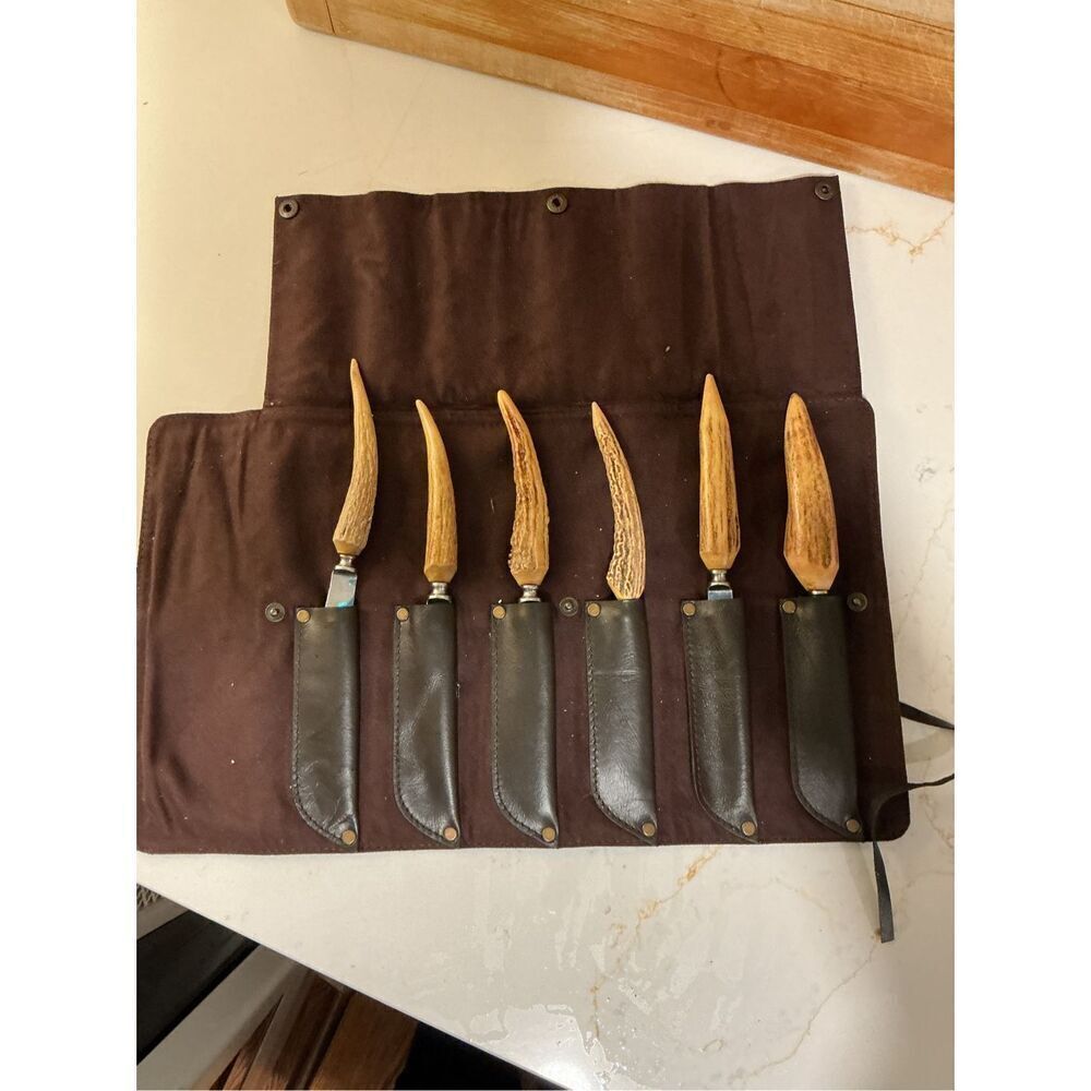 Brown & Bigelow Solingen Germany Stag Handled Stainless Steel Knifes Case